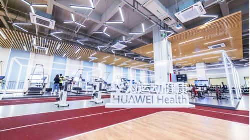 未来华为手表或可测高血压，华为揭晓三项全新数字健康研究